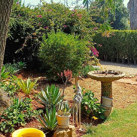 86 On Jubilee Otel Oudtshoorn Dış mekan fotoğraf