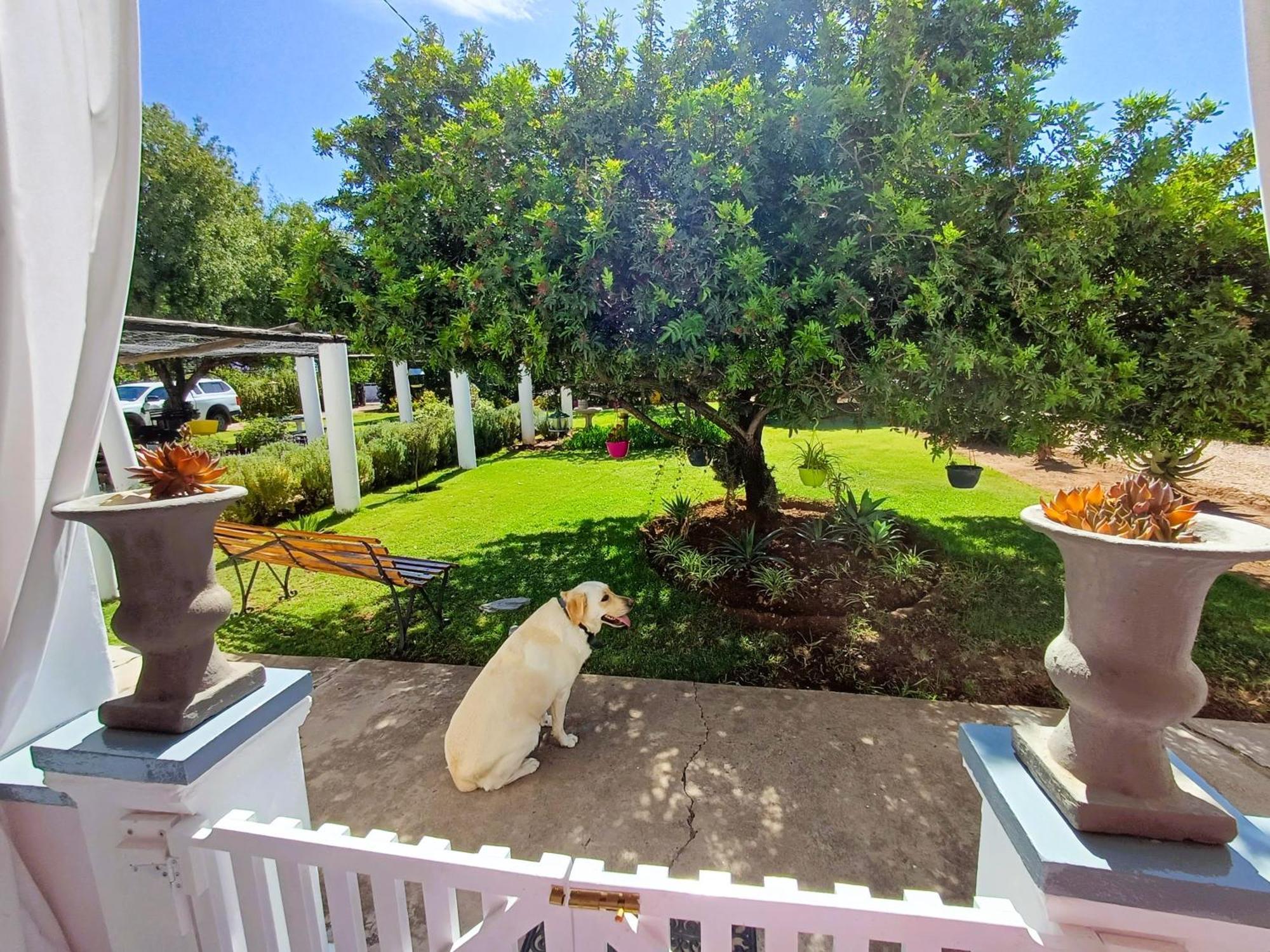 86 On Jubilee Otel Oudtshoorn Oda fotoğraf